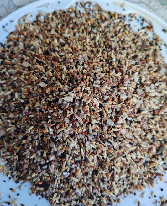 SAĞLIK TOHUMU 25 KG (1 ÇVL)